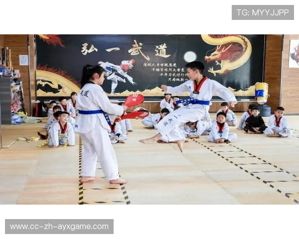 跆拳道联盟推动校园武术节与青少年交流赛落地，武术·跆拳道